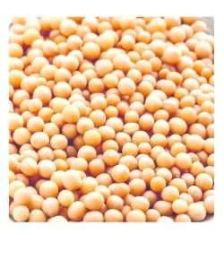 Seeds to germinate mustard BIO, 100 g